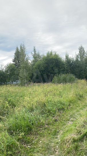 Участок 10 сот. (СНТ, ДНП)