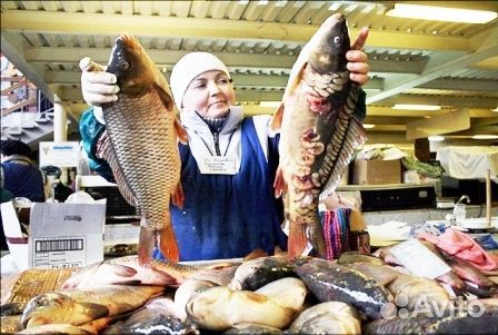 Продавец лангустинов на полдня (подработка)