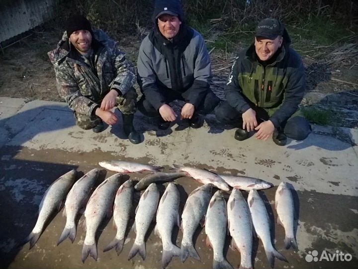 Сдаю дом. Рыбалка, охота, отдых в Астрахани