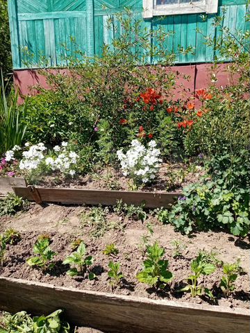 Дача 10 м² на участке 4 сот.