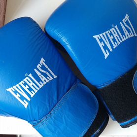 Боксерские перчатки everlast 10oz