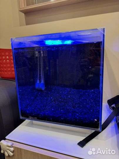 Аквариум Newa