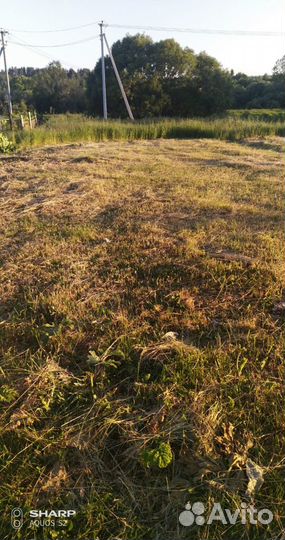 Благоустройство ландшафта