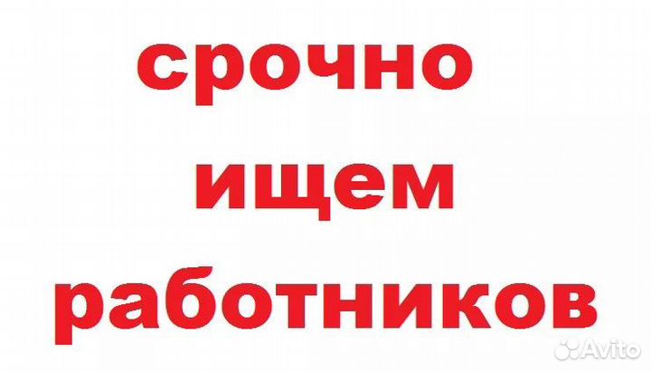 Прессовка картона в Софрино
