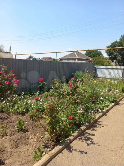 Дом 23,3 м² на участке 17 сот.