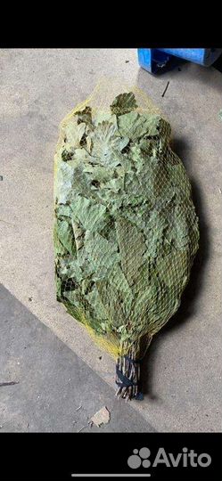 Веники для бани