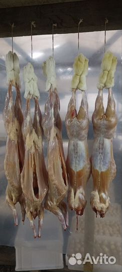 Мясо кролика