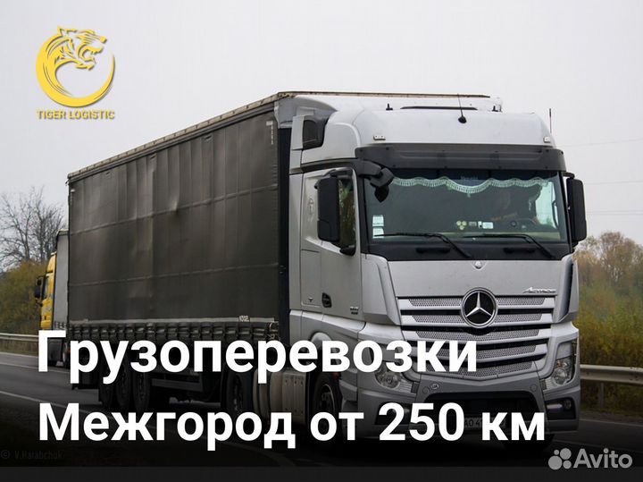 Грузоперевозки 20 тонн