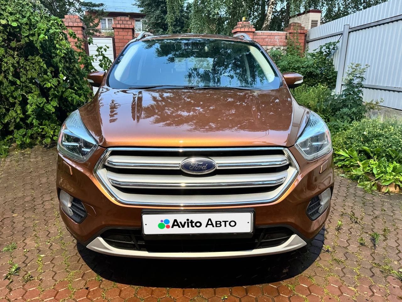 Ford Kuga: фото владельца