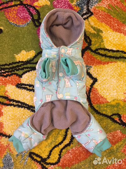 Одежда для собак