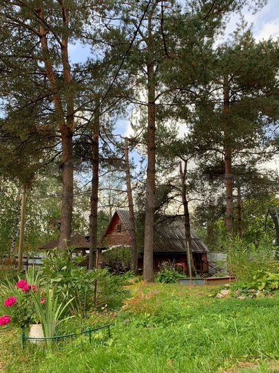 Дом 30,8 м² на участке 13 сот.