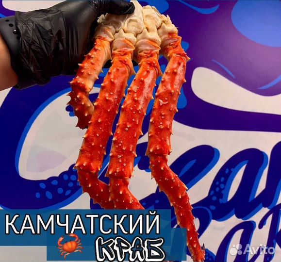 Краб Камчатский мега крупный, средний и стригун