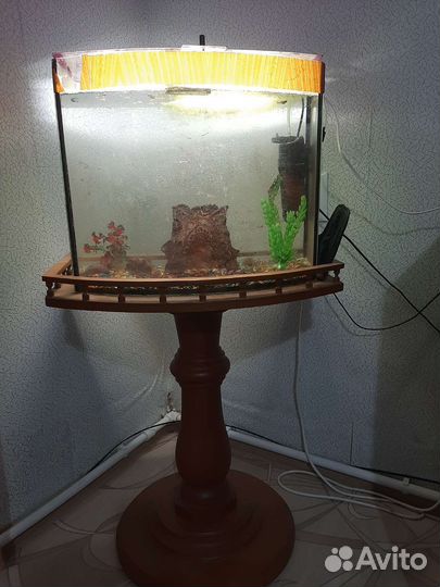 Аквариум