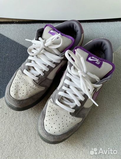 Nike dunk low sb purple pigeon