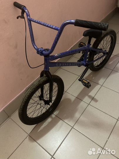 BMX TT Grasshopper