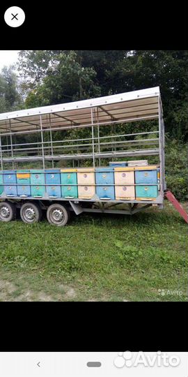 Прицеп пчеловоз, 2018