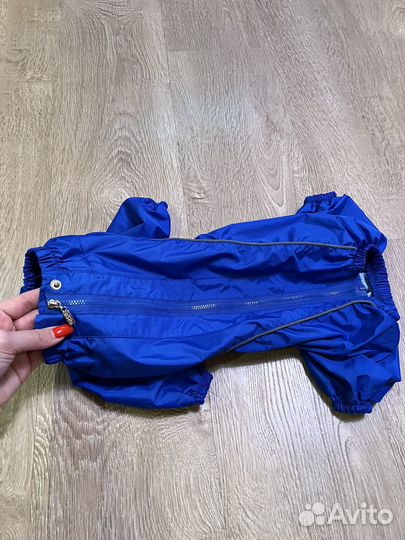 Одежда для собак