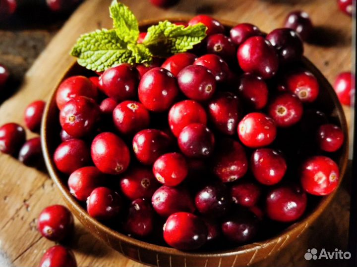 Ягоды брусника клюква