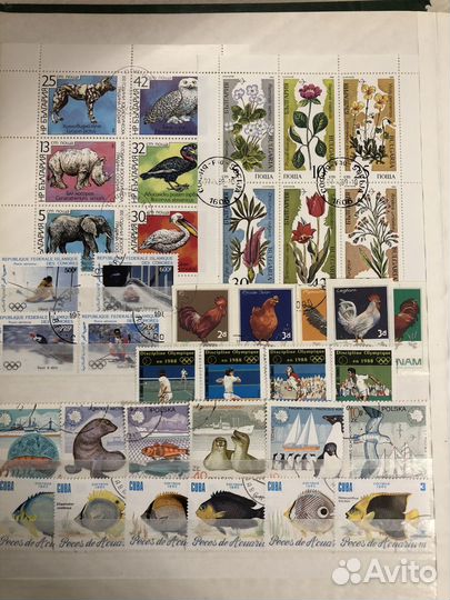 Коллекция почтовых марок