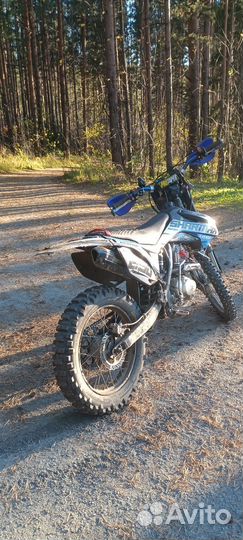 Sharmax 250 (Avantis fx lux 250)