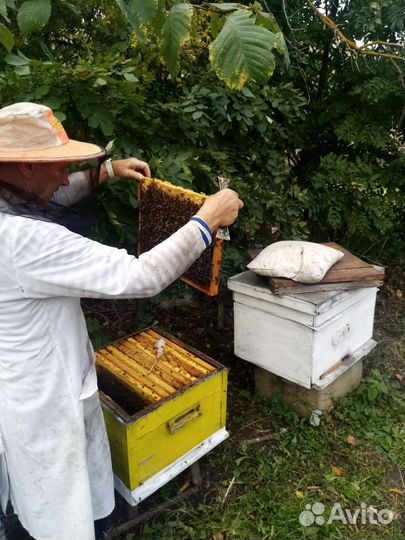 Продам мед