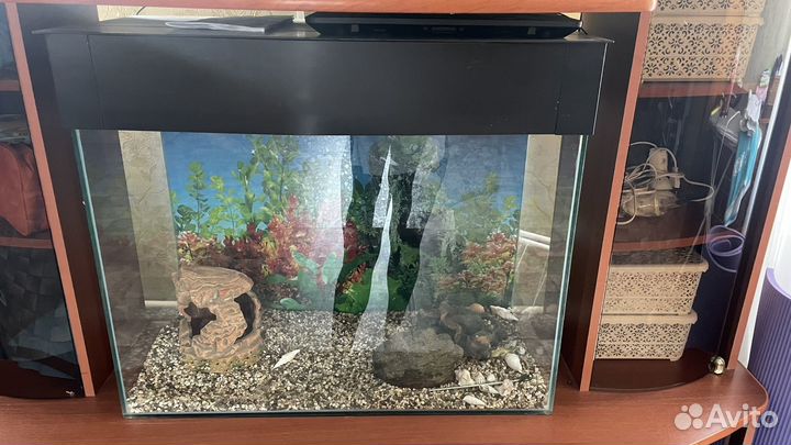 Аквариум
