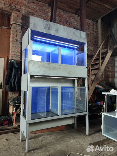 Аквариум тераниум