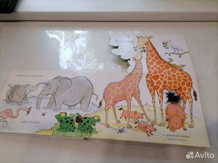 Мэтью Ван Флит