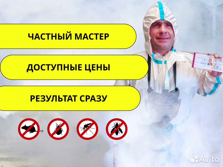 Уничтожение клопов, тараканов, плесени/Дезинфекция