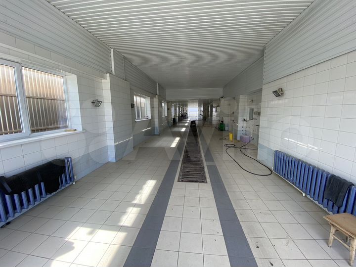 Свободного назначения, 529 м²