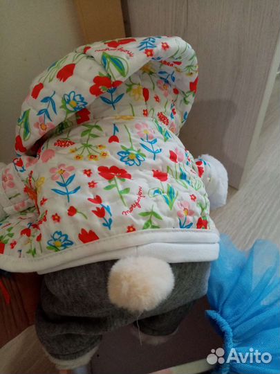 Кот Басик и Лили