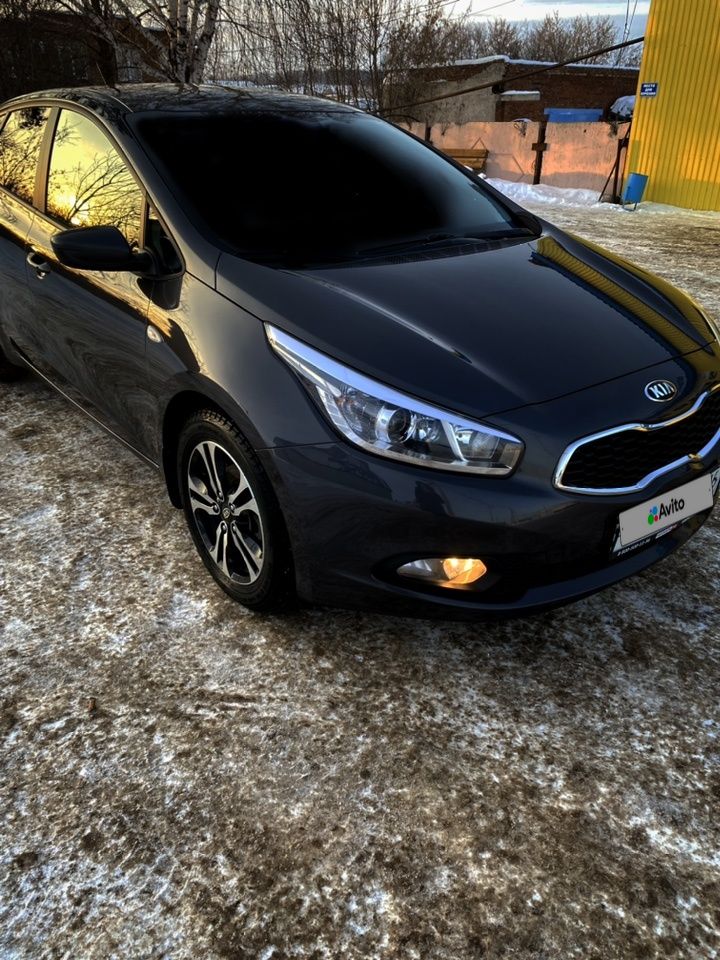 Kia Ceed: фото владельца