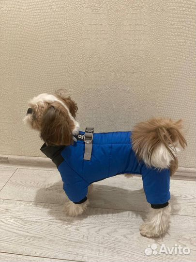 Одежда для маленьких собак, размер М