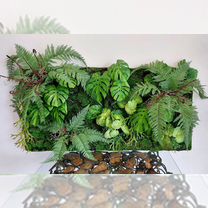 Фитопанно фито картина из искусственных растений