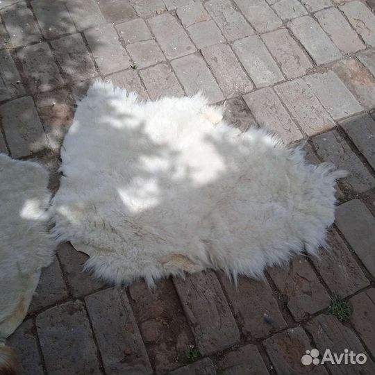 Шкуры выделаная (мех обувной 1000 штук)