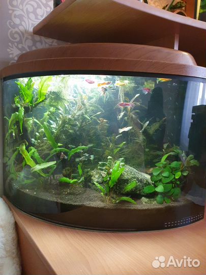 Аквариум