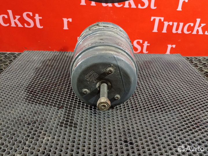 Энергоаккумулятор тормозной Daf XF106