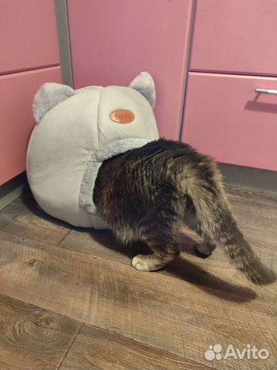 Домик лежанка для кошки