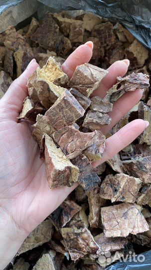 Легкое говяжье для дрессуры