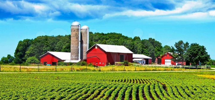 Участок 5500 га (СНТ, ДНП)