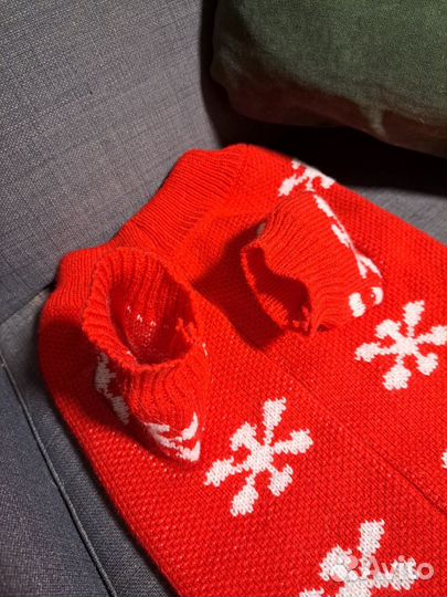 Новогодний свитер для вашего питомца