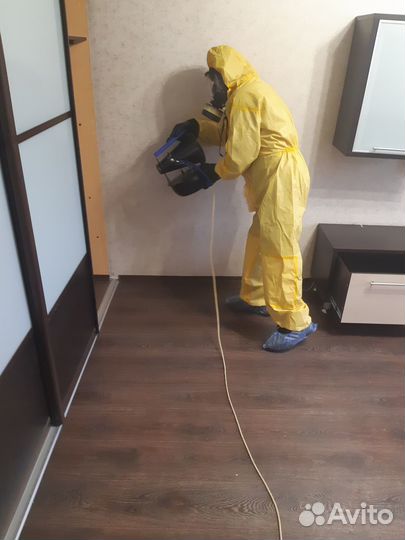 Дезинфекция