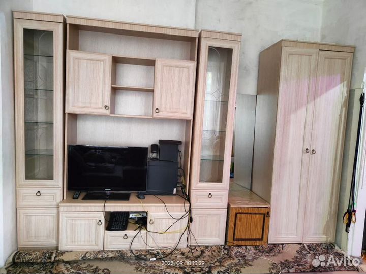 Стенка светлая