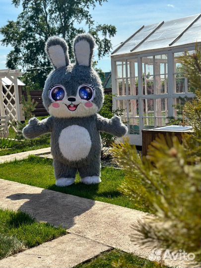 Аренда открытой площадки для мероприятий