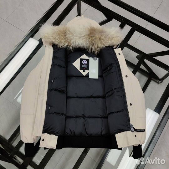 Мужской пуховик canada goose chilliwack parka