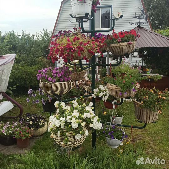 Дерево для петуний