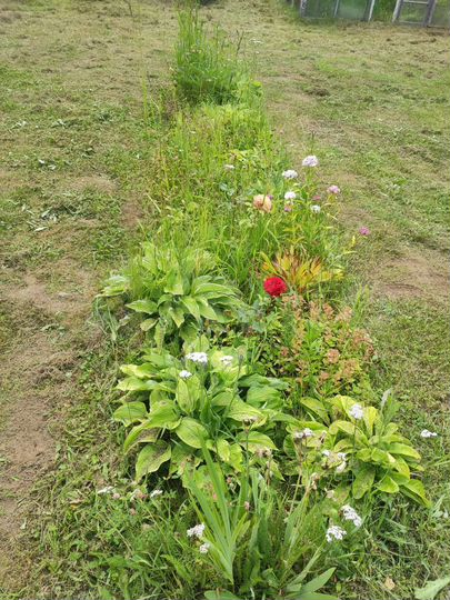 Дача 12 м² на участке 10 сот.