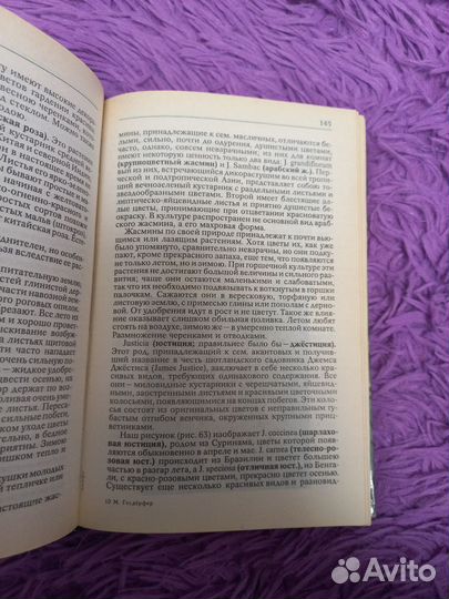 Комнатное садоводство Гесдерфер