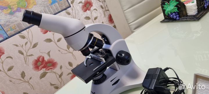 Микроскоп Levenhuk Rainbow 50L