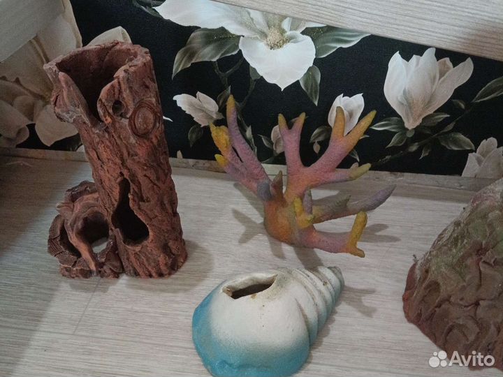 Для аквариума